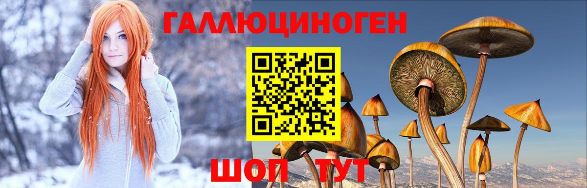 Псилоцибиновые грибы Cubensis Ульяновск
